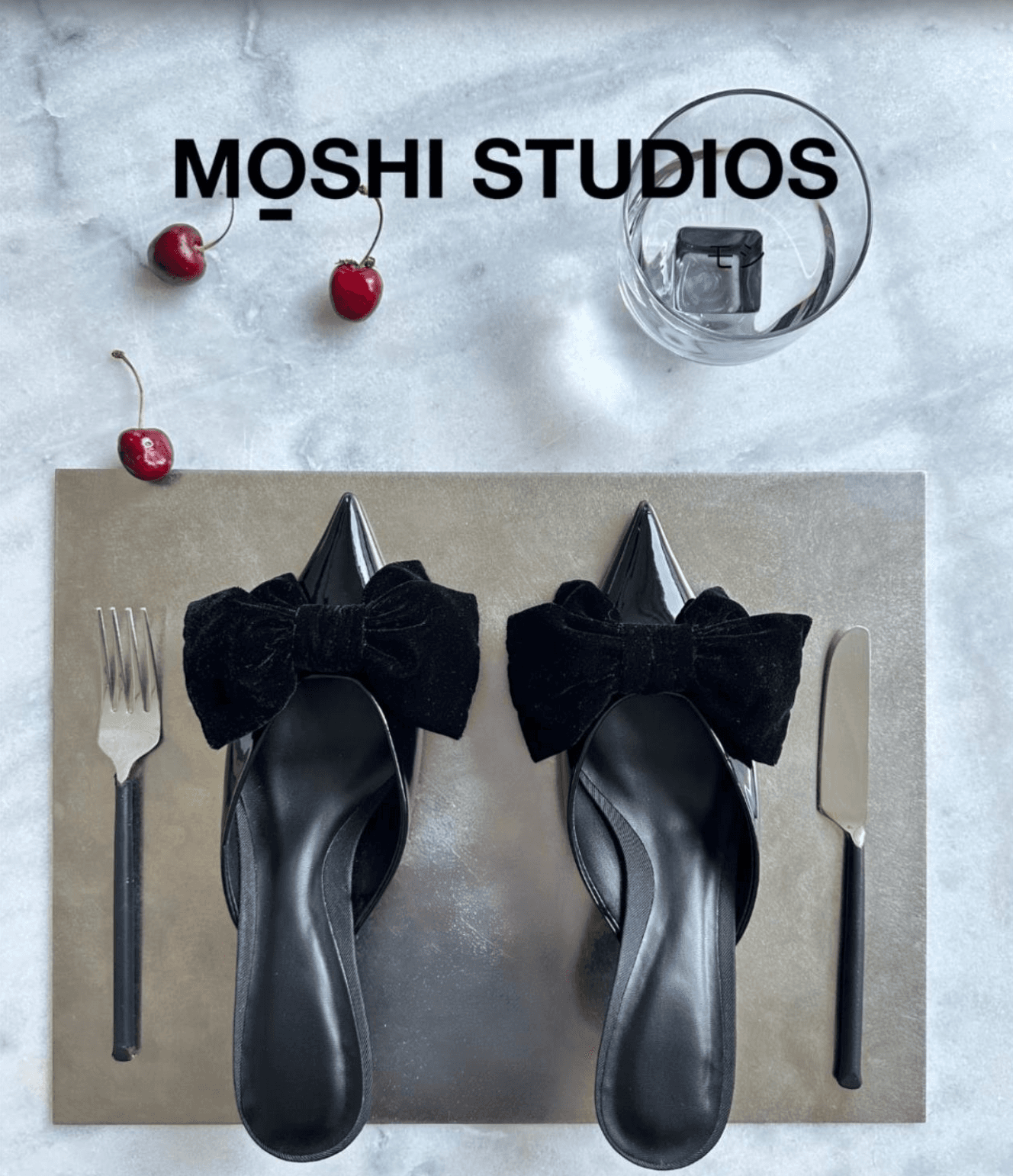CASE MOSHI STUDIO